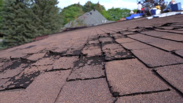 Best Gutter Installation and Repair  in Montgomery, GA